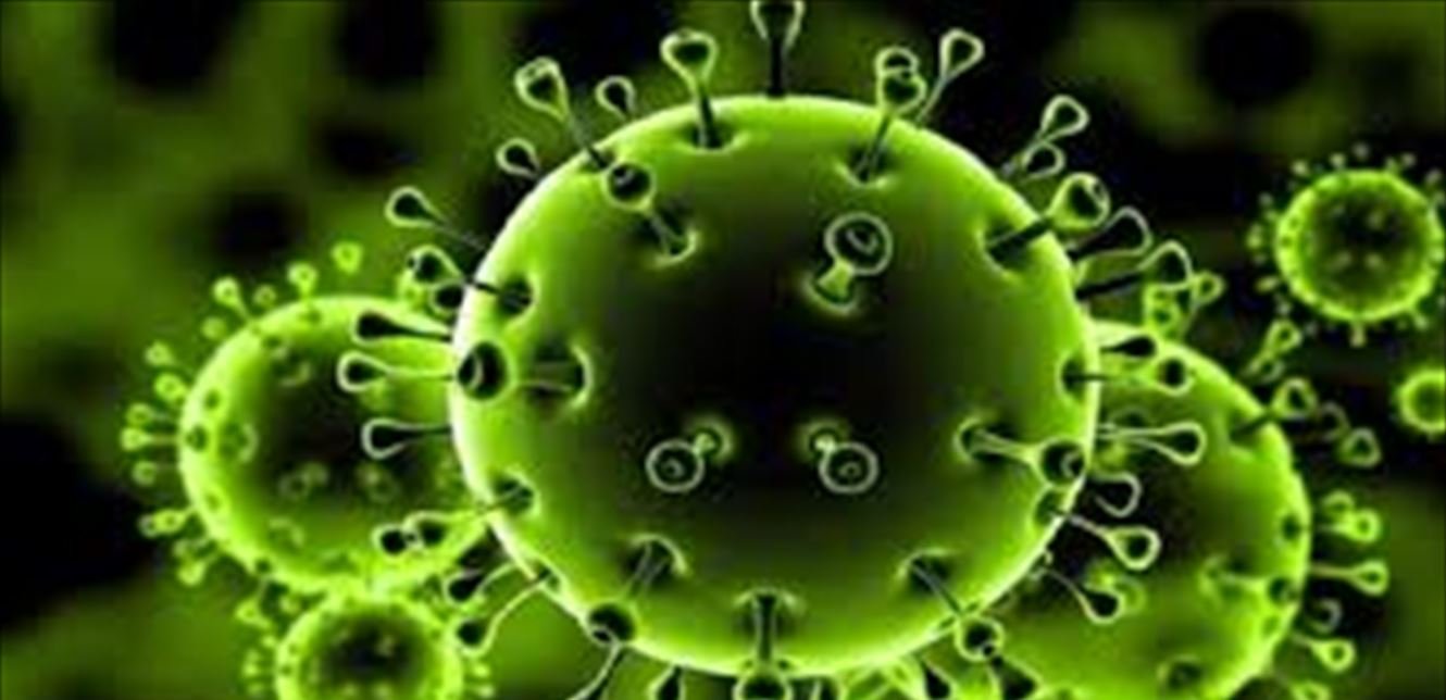 لبنان ارتفاع عدد الإصابات بفيروس كورونا في عكار إلى 24