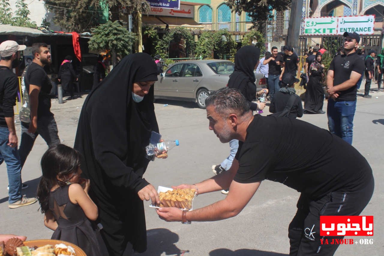 بالصور كاميرا موقع يا جنوب في يوم طويل مع مشاية يوم أربعين الإمام الحسين عليه السلام إلى مقام السيد خولة بنت الحسين عليه السلام