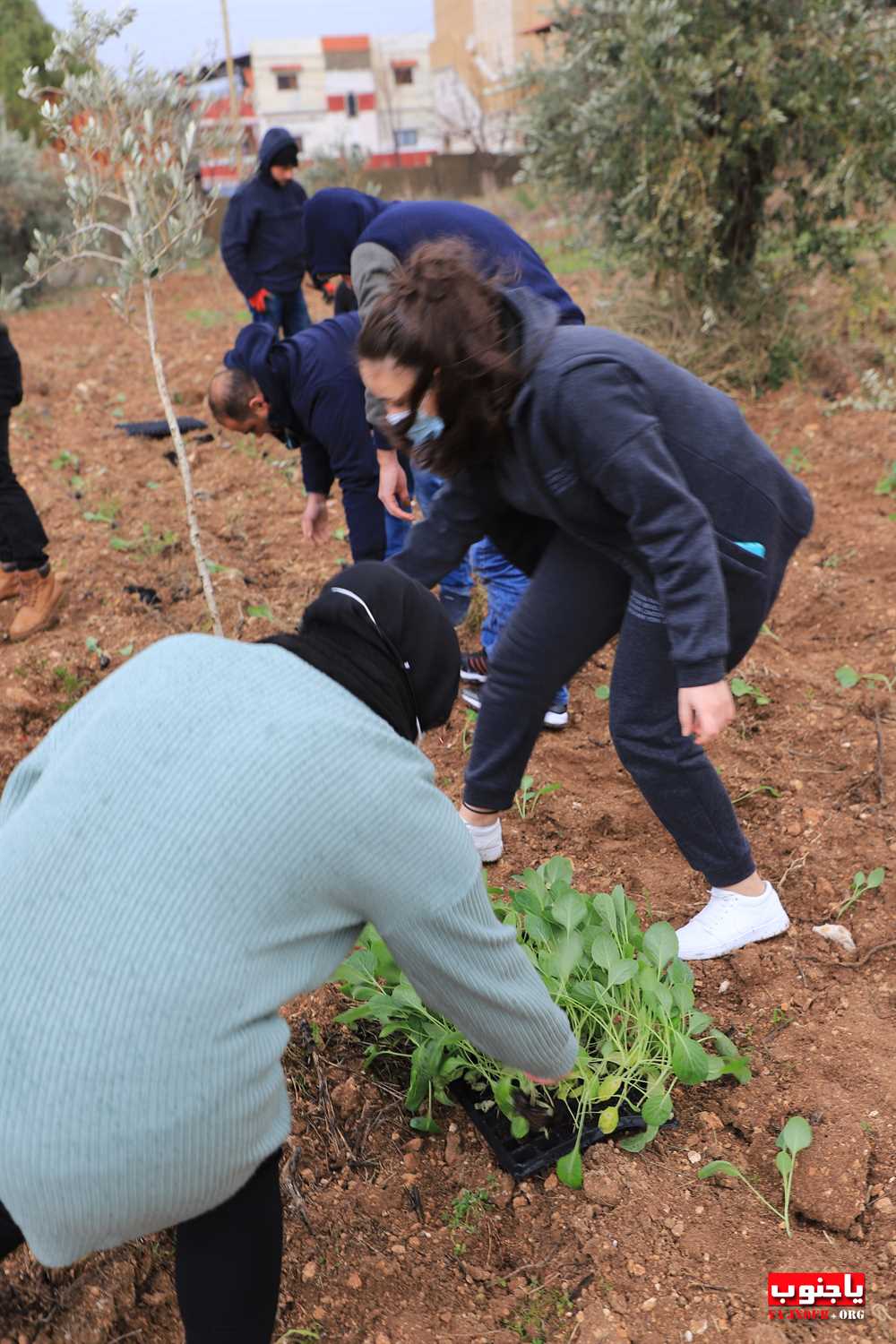  بلدية طيردبا اطلقت  بالتعاون مع الجمعيات الأهلية في البلدة مشروع 